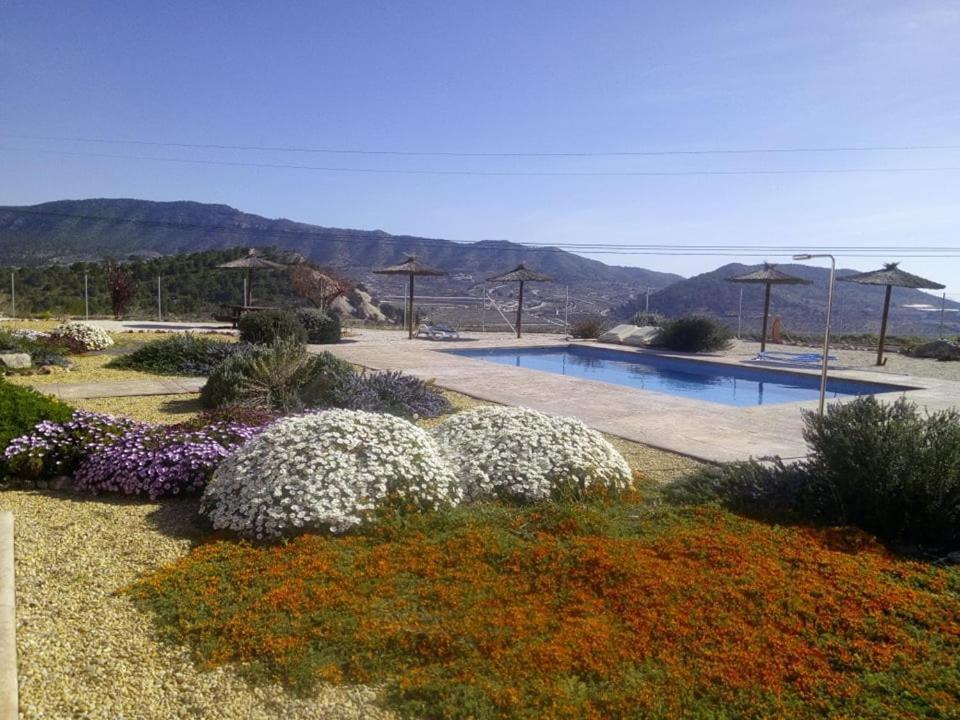 Casa Pasamee Bed & Breakfast La Romana Dış mekan fotoğraf